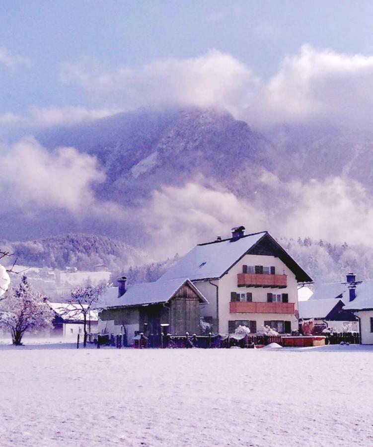 Haus Moni Apartman Bad Goisern Kültér fotó