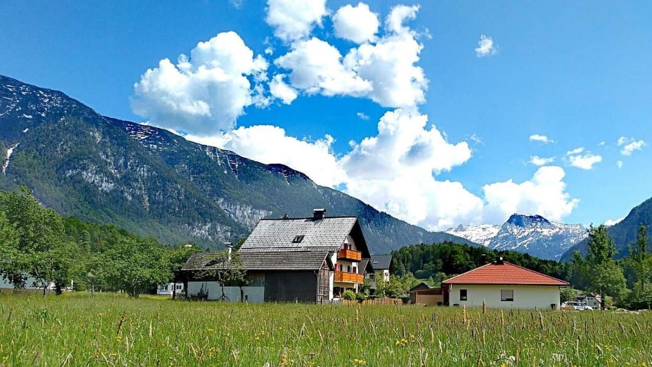 Haus Moni Apartman Bad Goisern Kültér fotó